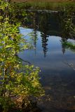 DSC_6156.jpg